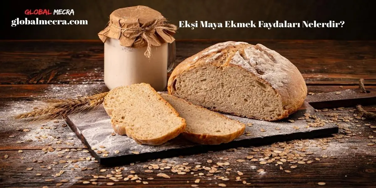 Ekşi Maya Ekmek Faydaları Nelerdir?