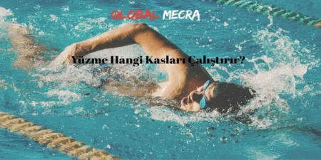 Yüzme Hangi Kasları Çalıştırır?