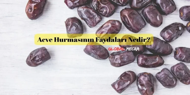 Acve Hurmasının Faydaları Nedir?