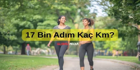 17 Bin Adım Kaç Km? 17 Bin Adım Kaç Km?