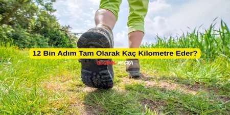 12 Bin Adım Tam Olarak Kaç Kilometre Eder