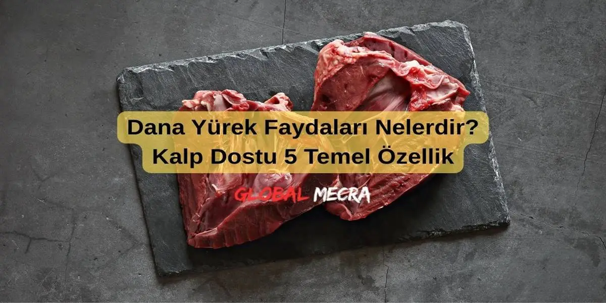 Dana Yürek Faydaları Nelerdir? Kalp Dostu 5 Temel Özellik