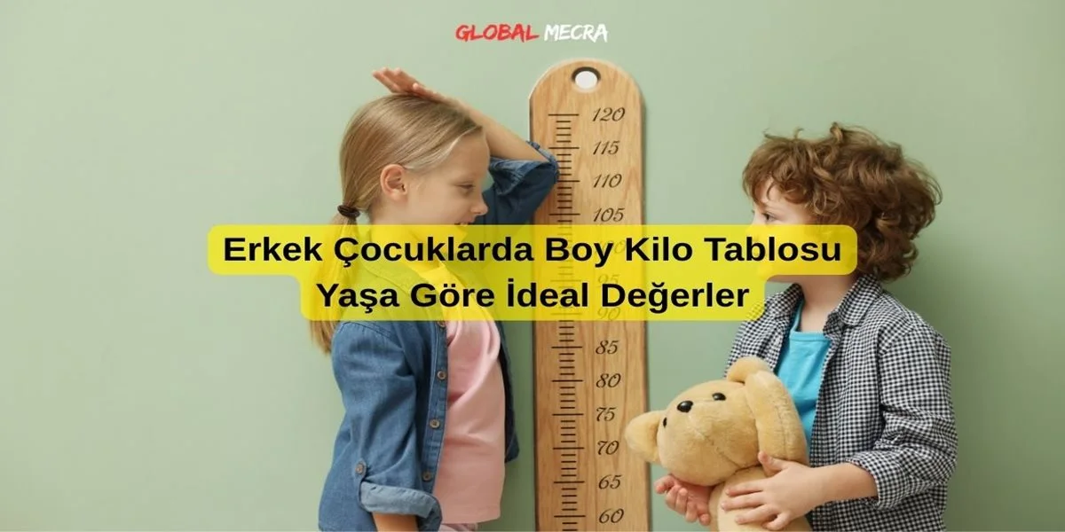 Erkek Çocuklarda Boy Kilo Tablosu